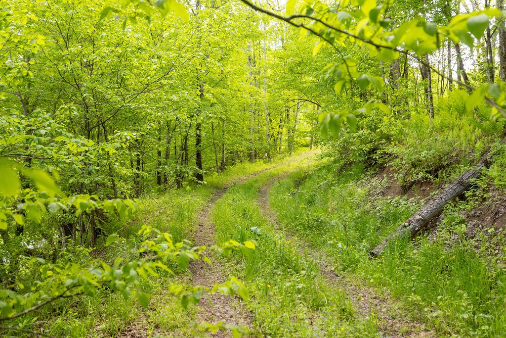 1361 Weaver Hollow Road Andes, NY 12455 - Photo 5 of 23