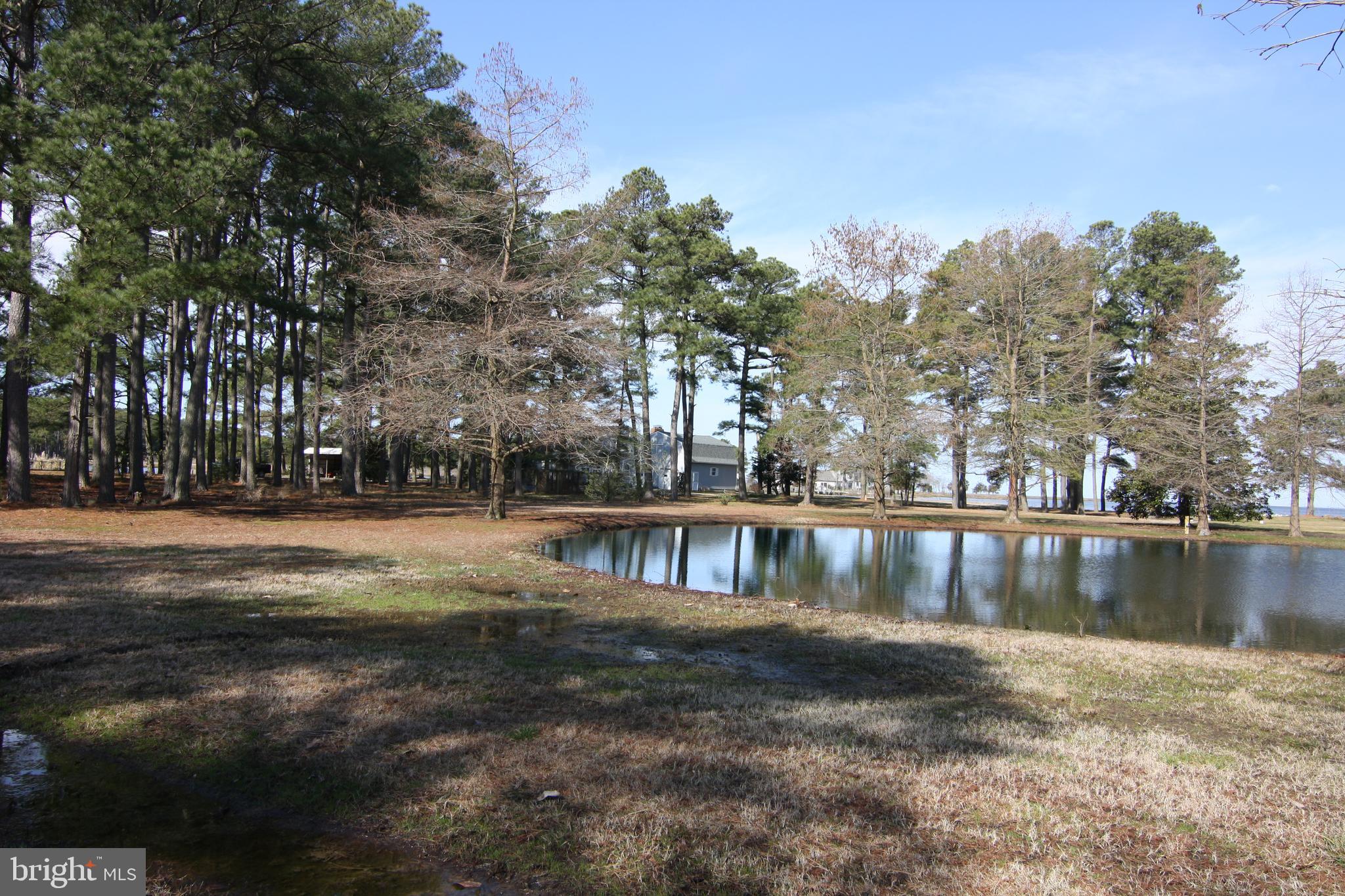 5412 Frances Road Marion Station, MD 21838 - Photo 55 of 63 Gallery Image 55