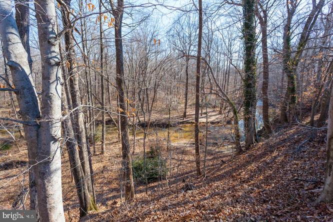 6805 Gillings Road Springfield, VA 22152 - Photo 49 of 56