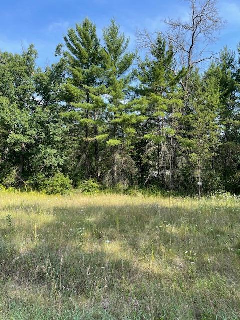 1678 Harding Avenue Baldwin, MI 49304 - Photo 14 of 19 IMG_3627