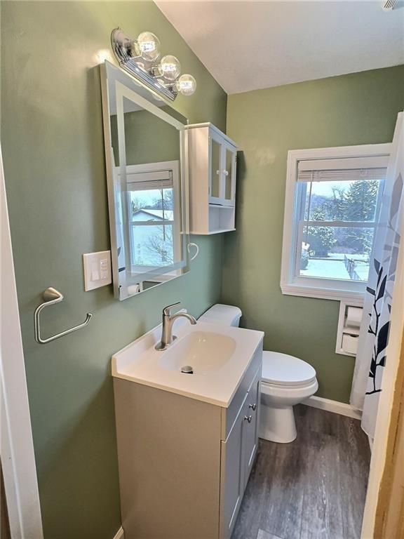 927 Greenhill Road Pittsburgh, PA 15209 - Photo 13 of 41 a bathroom with a sink mirror and toilet