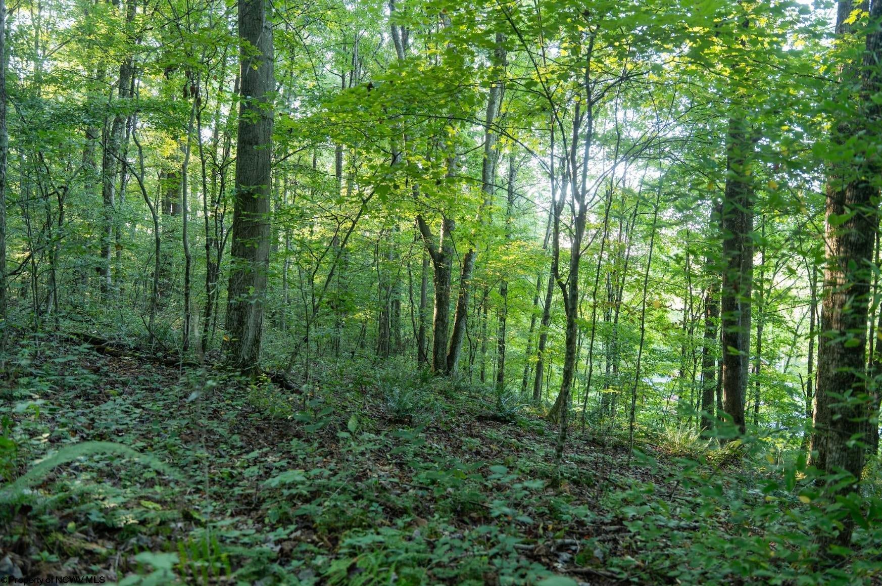 438 Irish Ridge Road Newburg, WV 26410 - Photo 39 of 50 Gallery Image 39