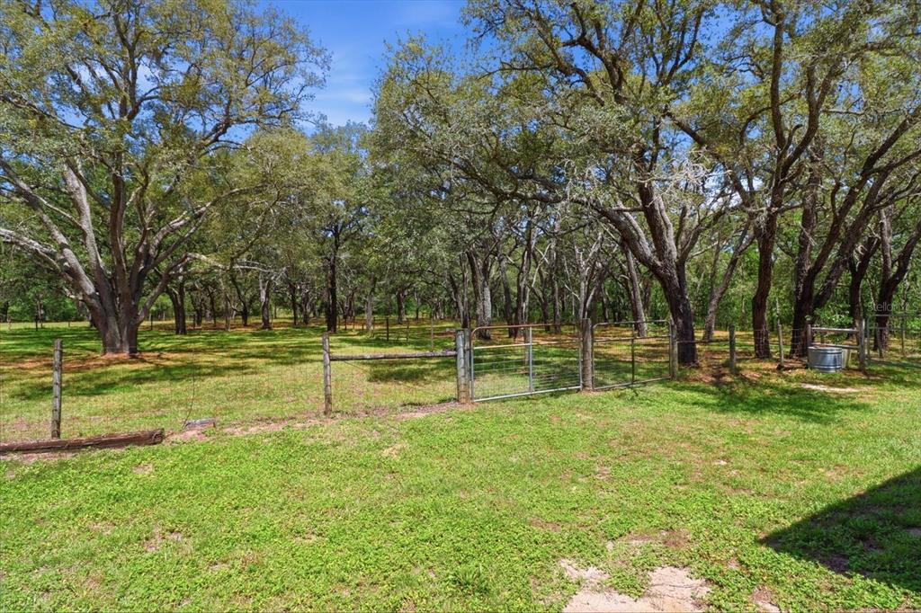 7298 South Rama Avenue Lecanto, FL 34461 - Photo 40 of 50