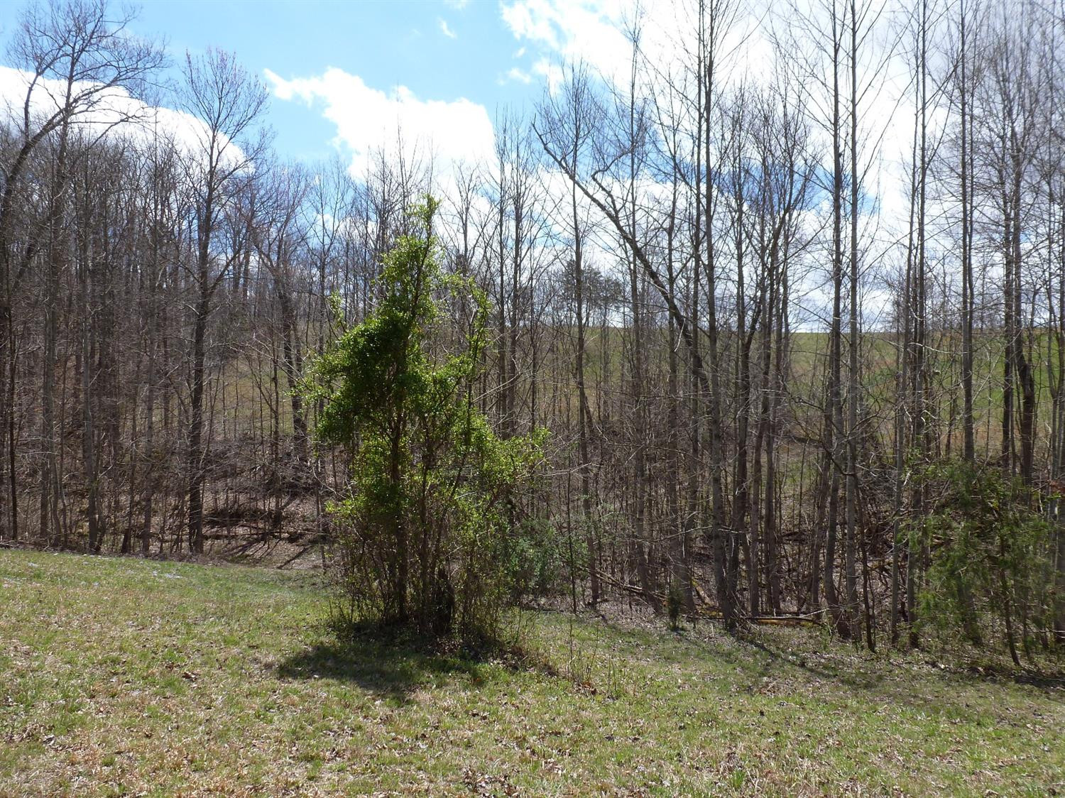 3821 Amos Ridge Road Frenchburg, KY 40322 - Photo 41 of 88 Photo 41
