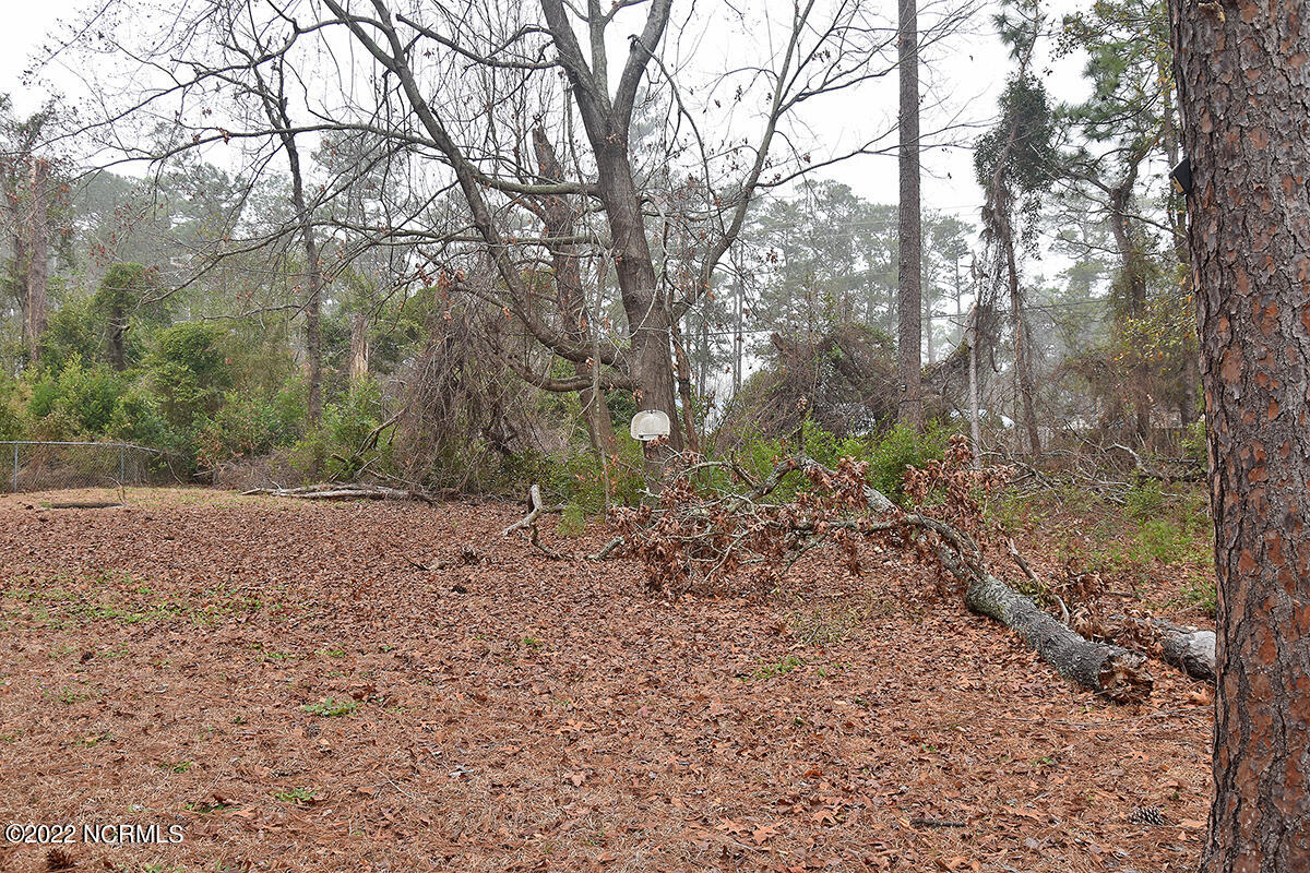 5807 Fallen Tree Road Wilmington, NC 28405 - Photo 10 of 11 DSC_0107