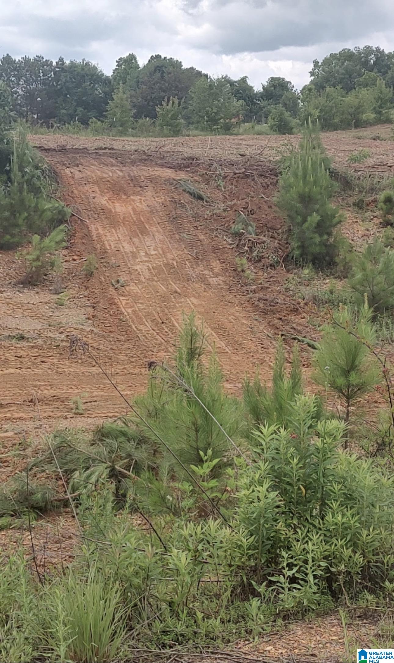 0 Co Highway 13, Unit 2 Cleveland, AL 35049 - Photo 2 of 4