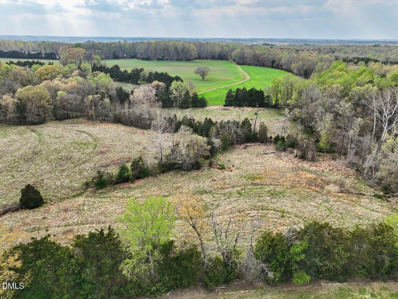 7793 Ridgeville Road Leasburg, NC 27291 - Photo 63 of 91