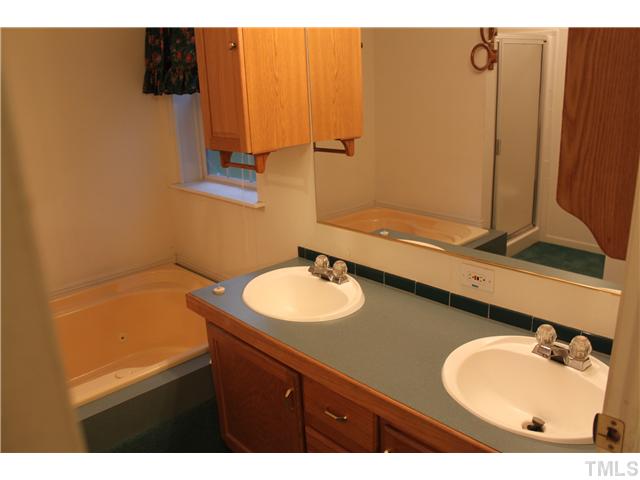 1553 Lettuce Hall Road Spring Hope, NC 27882 - Photo 9 of 16 a bathroom with a sink and a mirror