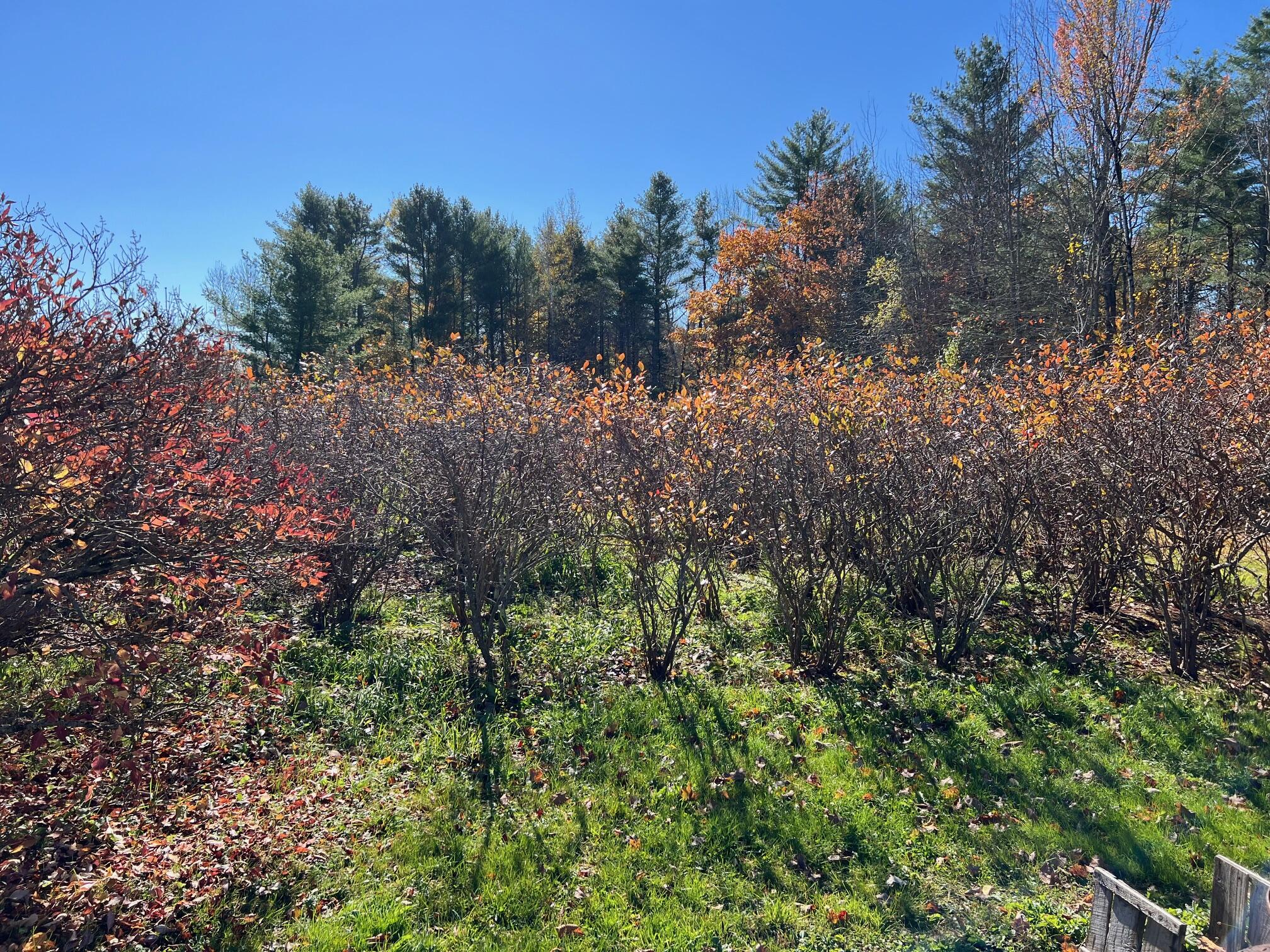 86 N Road Detroit, ME 04929 - Photo 26 of 26 26