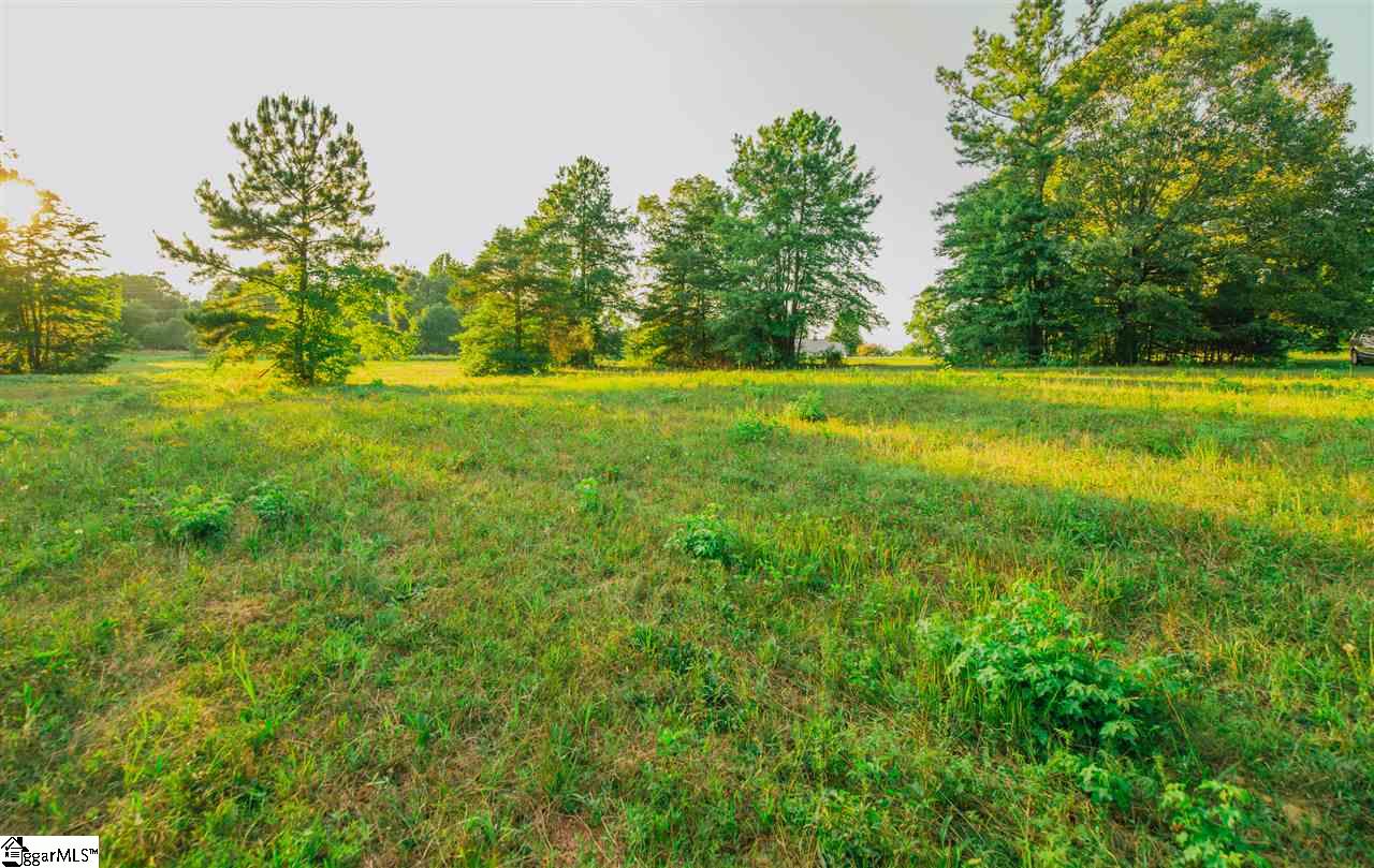 Tugaloo Road Landrum, SC 29356 - Photo 14 of 16