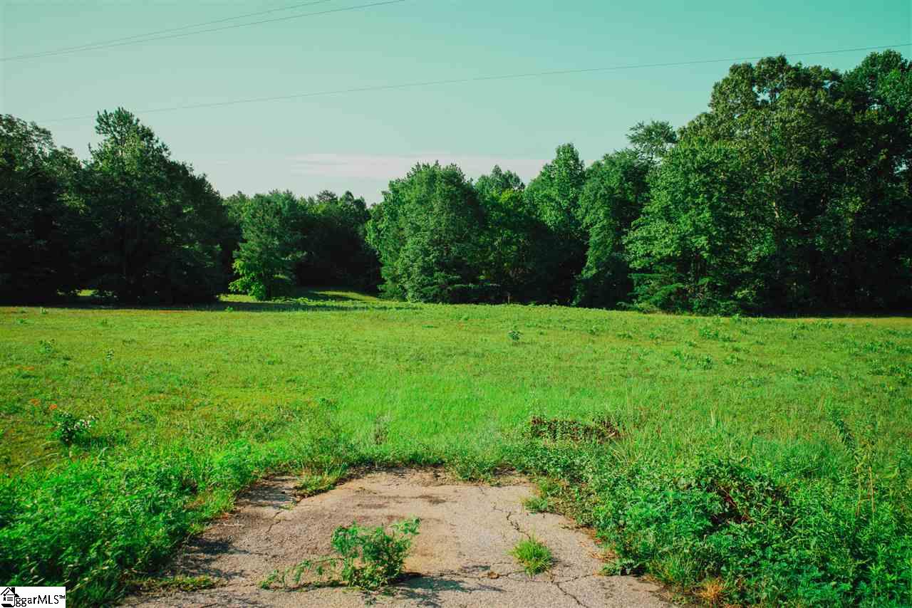 Tugaloo Road Landrum, SC 29356 - Photo 3 of 16