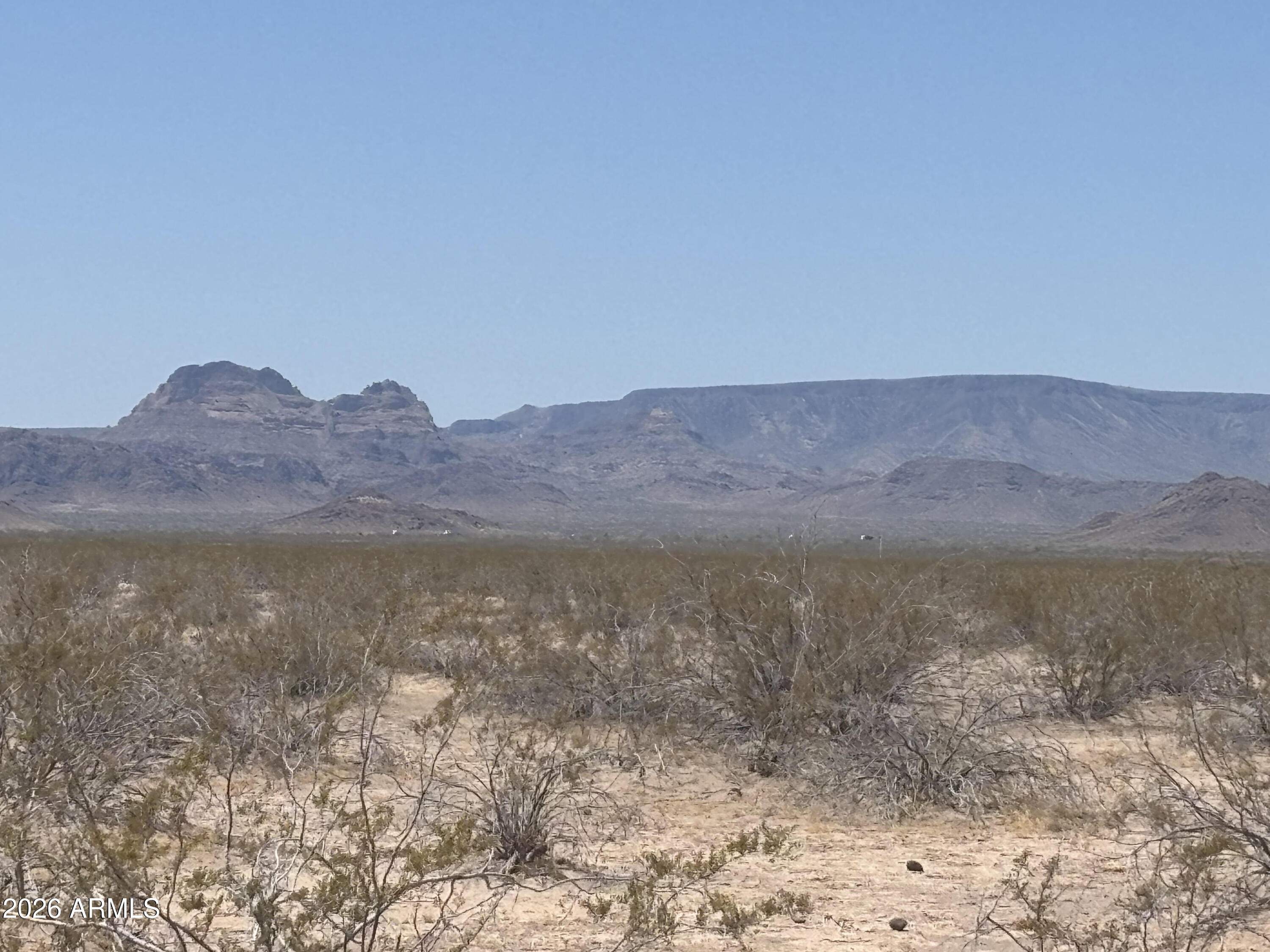 44501 Stutz Well Road Salome, AZ 85348 - Photo 5 of 12 a view of a lake in middle of forest