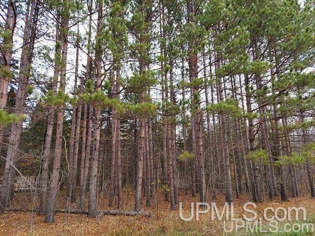 26898 Quartz Road Ontonagon, MI 49953 - Photo 4 of 4 Gallery Image 4