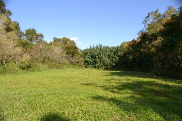 1093 Puuopae Road, Unit 2 Kapaa, HI 96746 - Photo 11 of 24 a view of a field with trees in the background