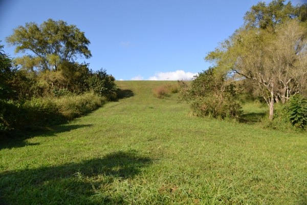 1093 Puuopae Road, Unit 2 Kapaa, HI 96746 - Photo 12 of 24 a view of a field with an trees