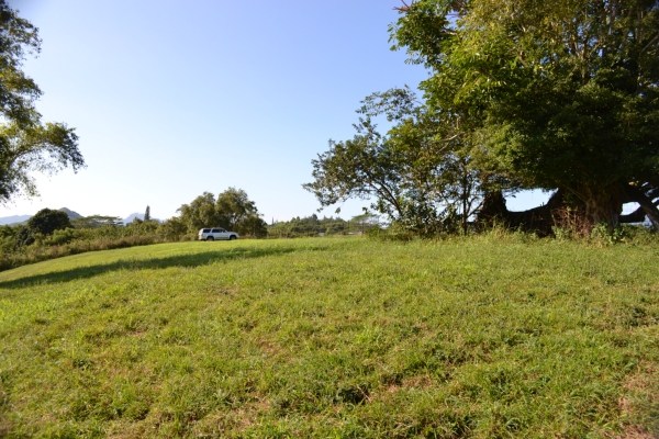 1093 Puuopae Road, Unit 2 Kapaa, HI 96746 - Photo 13 of 24 a view of a lake with a yard