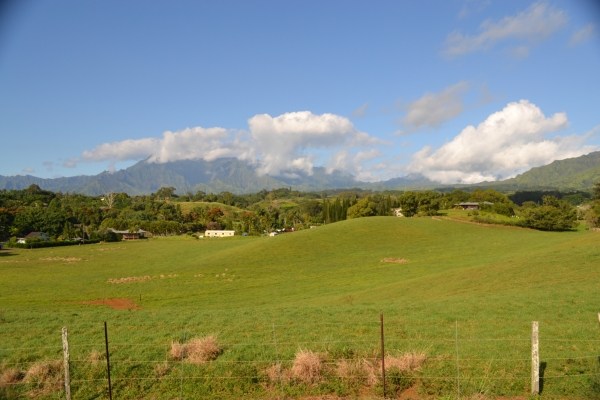 1093 Puuopae Road, Unit 2 Kapaa, HI 96746 - Photo 18 of 24 a view of an ocean and beach