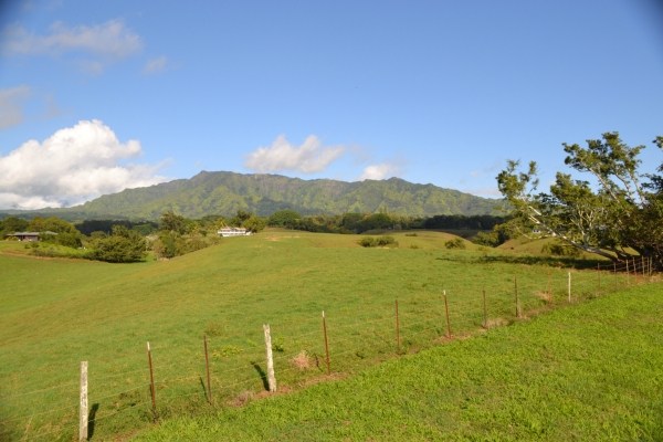 1093 Puuopae Road, Unit 2 Kapaa, HI 96746 - Photo 19 of 24 a view of an ocean from a mountain