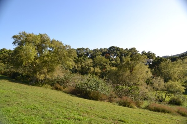 1093 Puuopae Road, Unit 2 Kapaa, HI 96746 - Photo 21 of 24 a view of a field of grass and trees