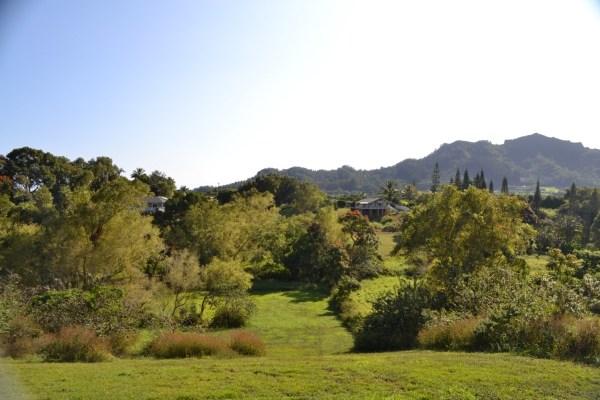 1093 Puuopae Road, Unit 2 Kapaa, HI 96746 - Photo 22 of 24 a view of a lake with mountains in the background