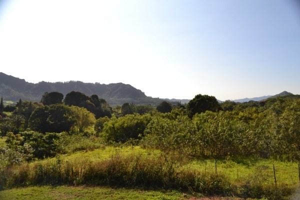 1093 Puuopae Road, Unit 2 Kapaa, HI 96746 - Photo 23 of 24 a view of a lush green field with mountains in the background