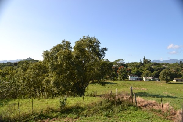 1093 Puuopae Road, Unit 2 Kapaa, HI 96746 - Photo 24 of 24 a view of a park with large trees