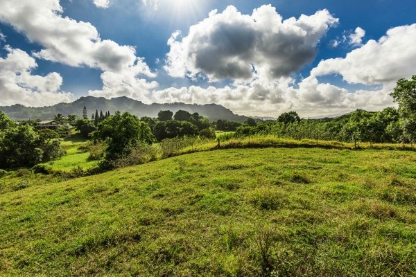 1093 Puuopae Road, Unit 2 Kapaa, HI 96746 - Photo 5 of 24 a view of a garden
