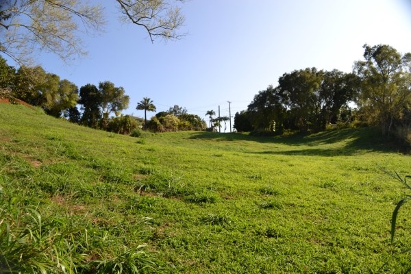 1093 Puuopae Road, Unit 2 Kapaa, HI 96746 - Photo 7 of 24 a view of a field of grass and trees