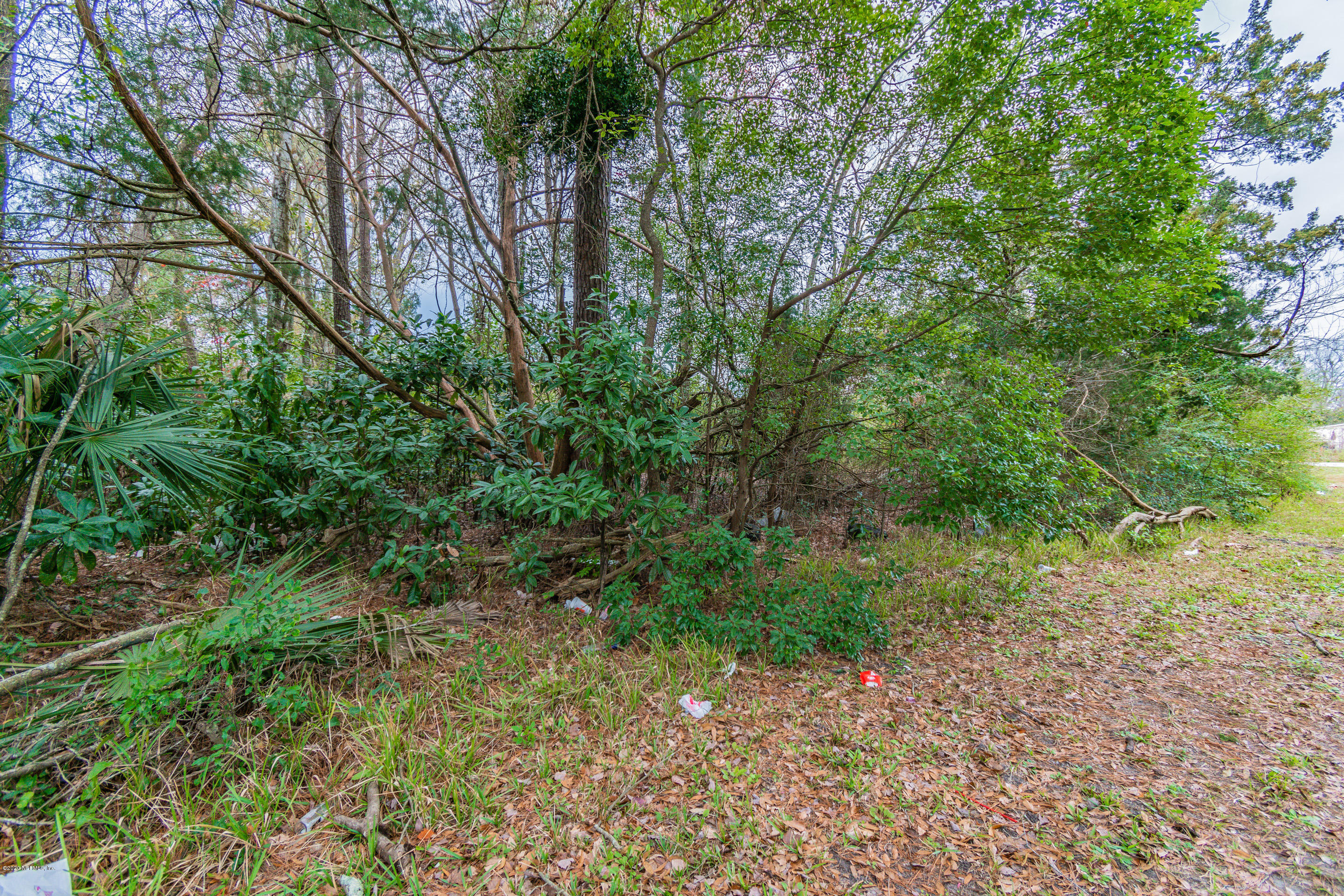 9830 Sibbald Road Jacksonville, FL 32219 - Photo 13 of 15 DSC_0051