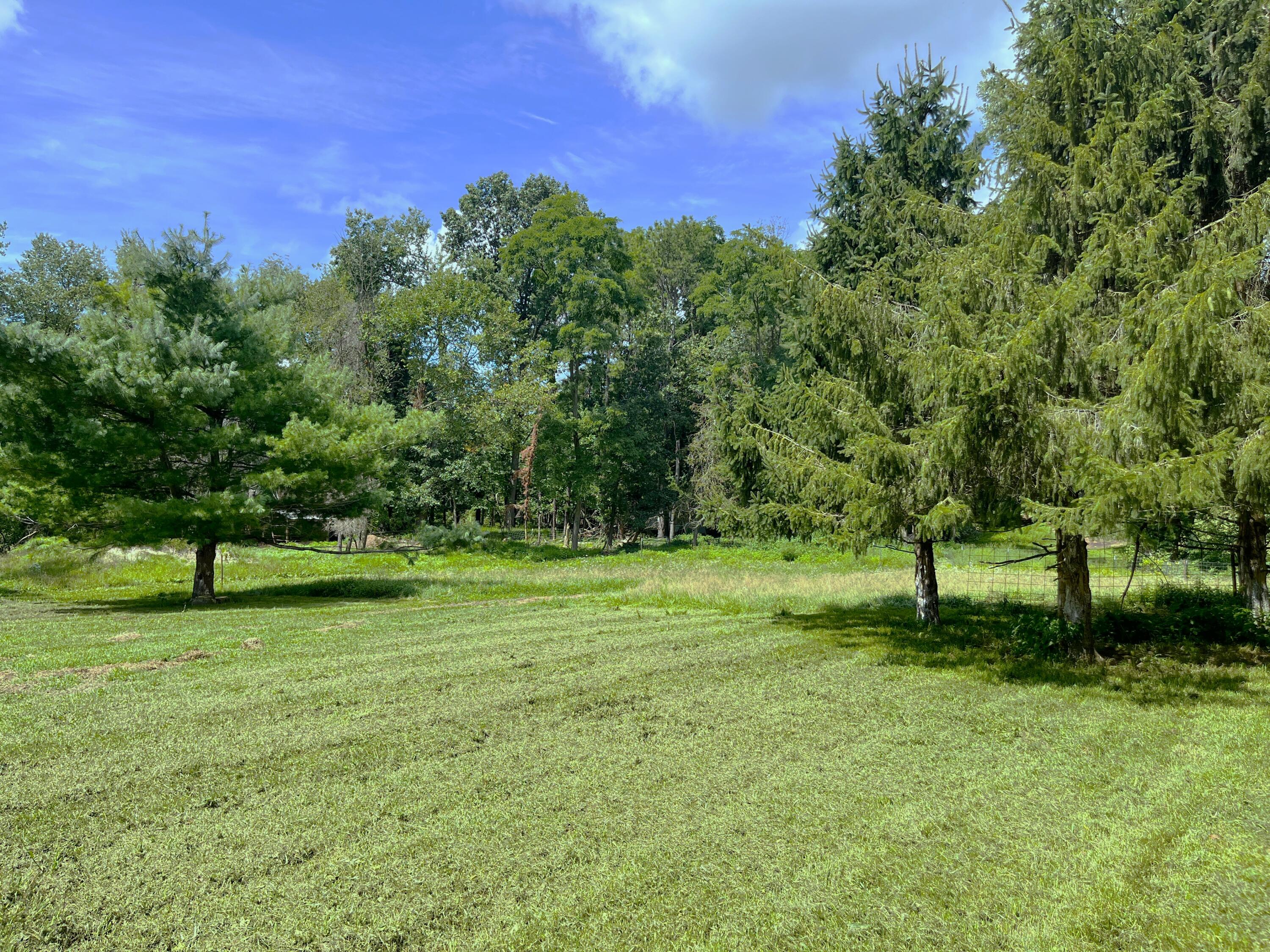 2201 Swarthout Road Pinckney, MI 48169 - Photo 28 of 34 Swarthout 2201 53
