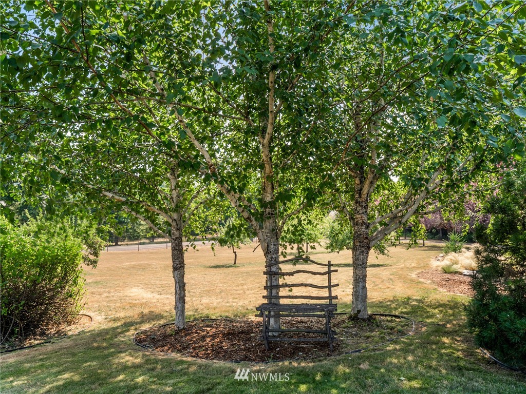 2599 Seminary Hill Road Centralia, WA 98531 - Photo 29 of 29 a view of yard with tree in the background