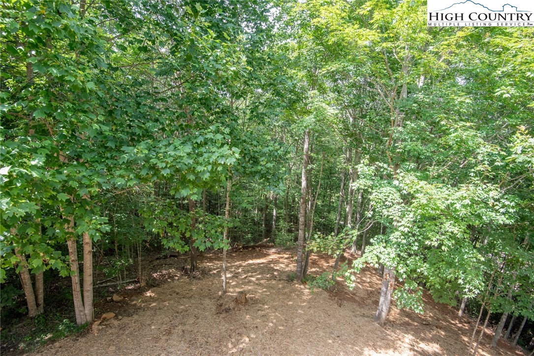 231 Cameron Ridge Road Warrensville, NC 28693 - Photo 41 of 42 Gallery Image 41