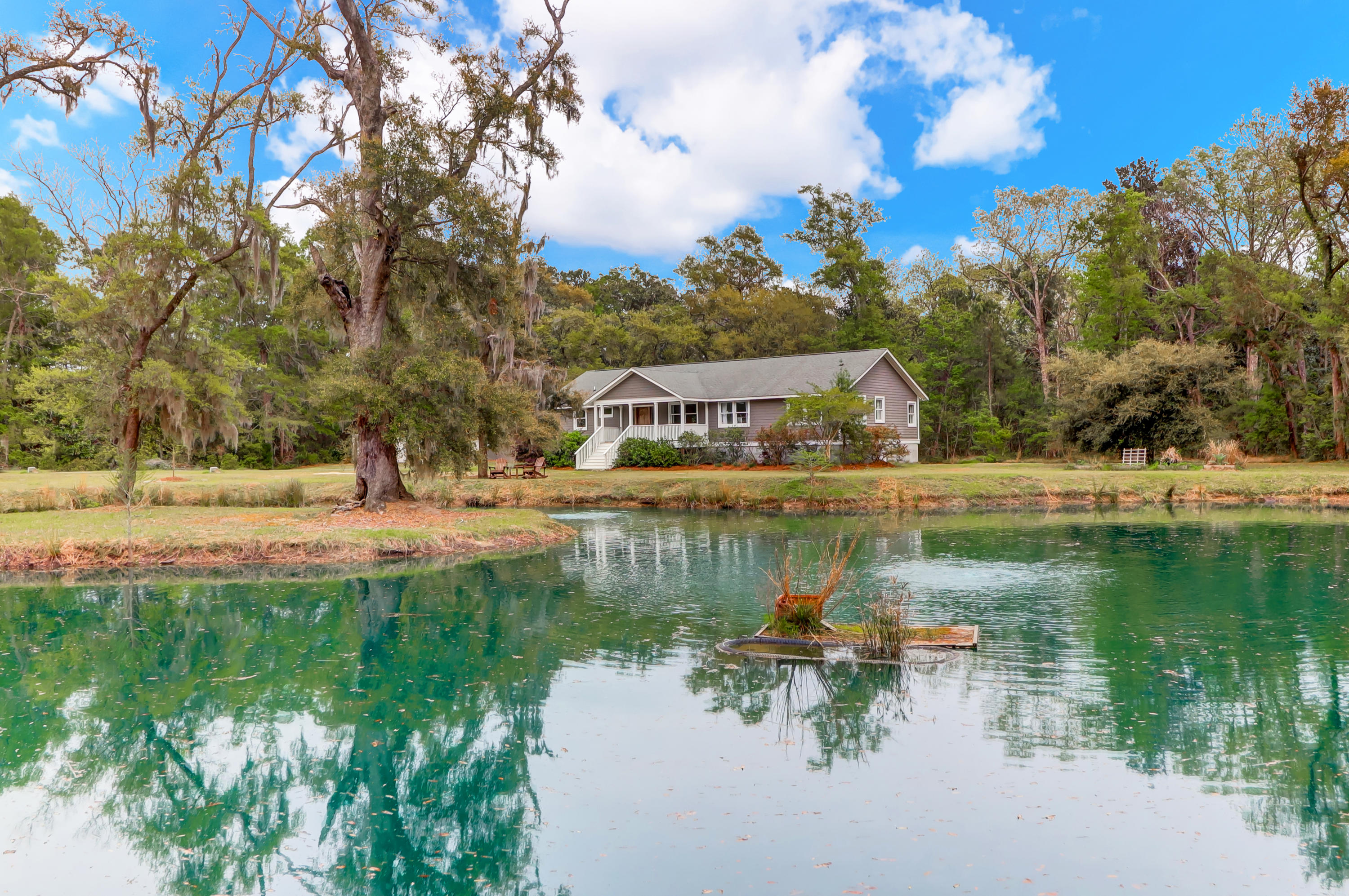 6717 Bears Bluff Road Wadmalaw Island, SC 29487 - Photo 41 of 48 Front Pond View