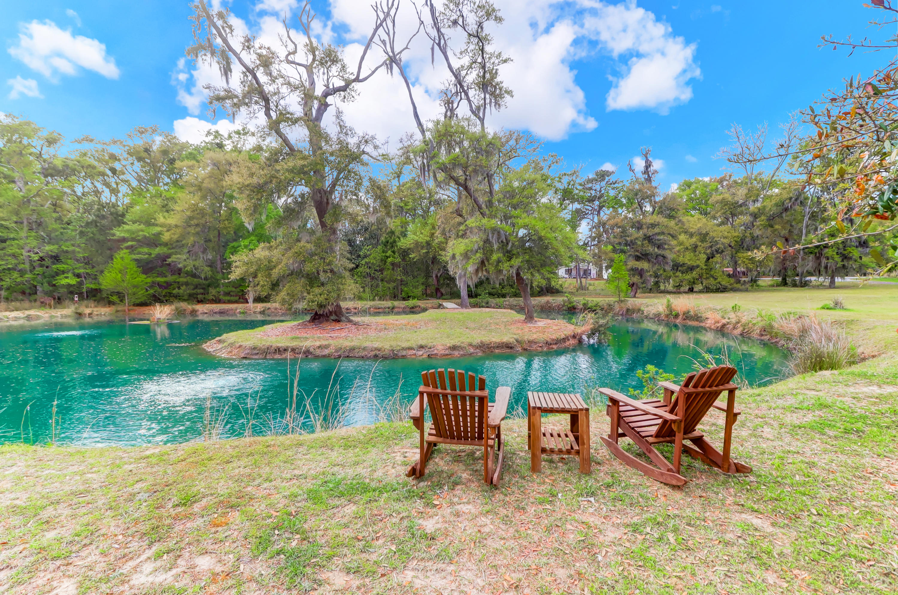 6717 Bears Bluff Road Wadmalaw Island, SC 29487 - Photo 6 of 48 Front Yard Pond View