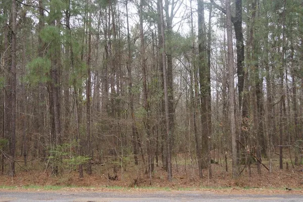 $32,000 | 1075 Pine Cove Court, Terry, MS 39170