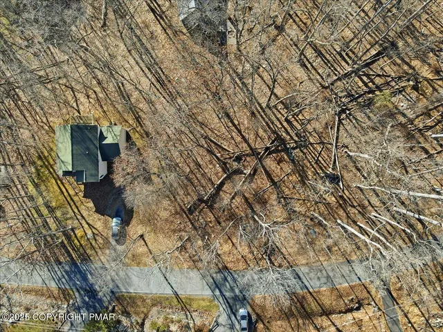 a view of a dry yard