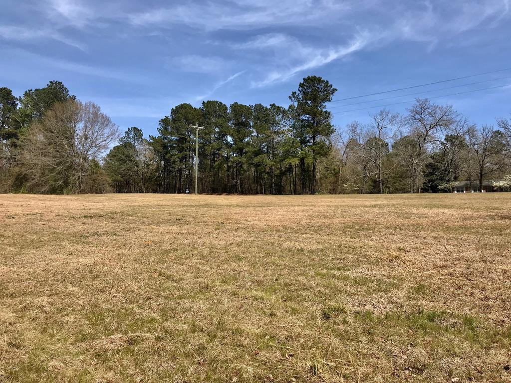 Lot 1 Holiness Church Road Wagener, SC 29164 - Photo 11 of 22