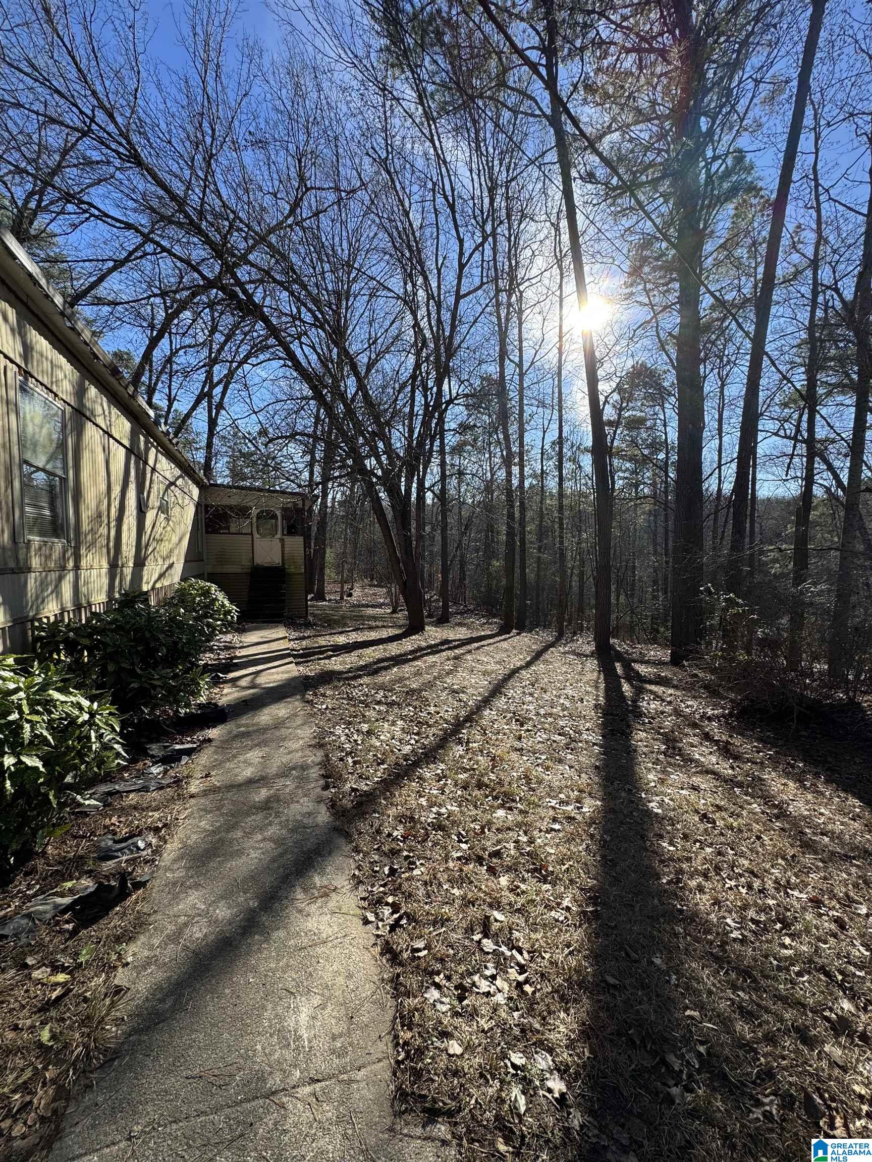 2570 Mt View Road, Unit 13251 Hayden, AL 35079 - Photo 8 of 13