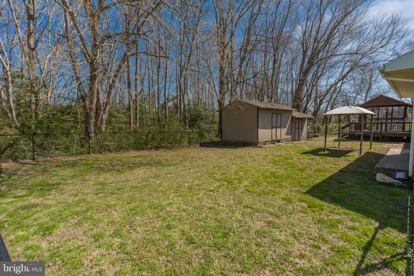 a view of a yard with plants and trees