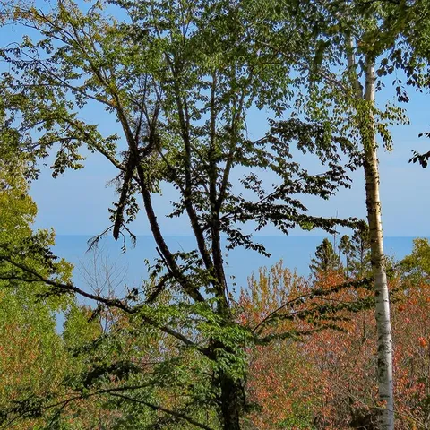 $129,000 | Xxx Hoaglund Drive, Tofte, MN 55615