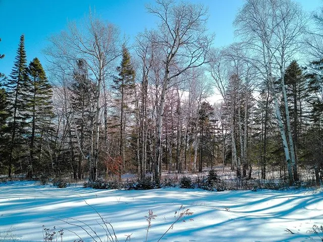 $129,000 | Xxx Hoaglund Drive, Tofte, MN 55615