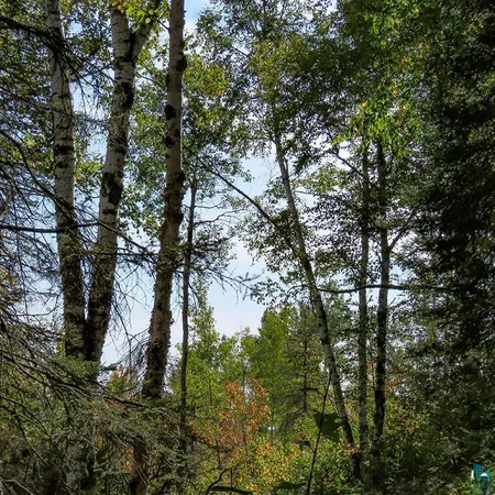 $119,000 | Xxx Hoaglund Drive, Tofte, MN 55615