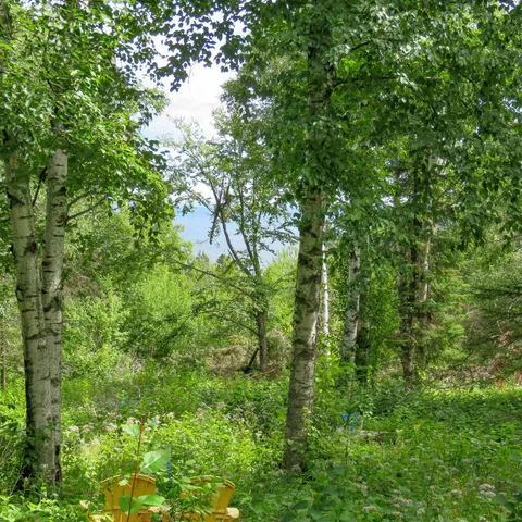 $129,000 | Xxx Hoaglund Drive, Tofte, MN 55615