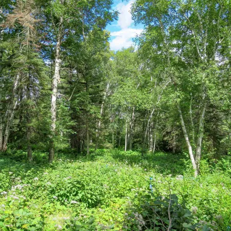 $119,000 | Xxx Hoaglund Drive, Tofte, MN 55615