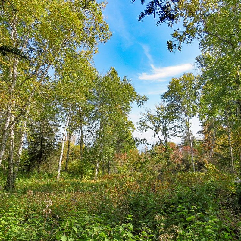 Xxx Hoaglund Drive Tofte, MN 55615 - Photo 13 of 58