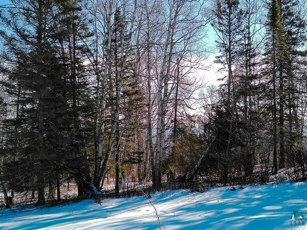 $119,000 | Xxx Hoaglund Drive, Tofte, MN 55615