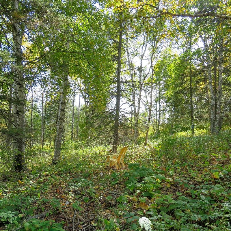 Xxx Hoaglund Drive Tofte, MN 55615 - Photo 18 of 58