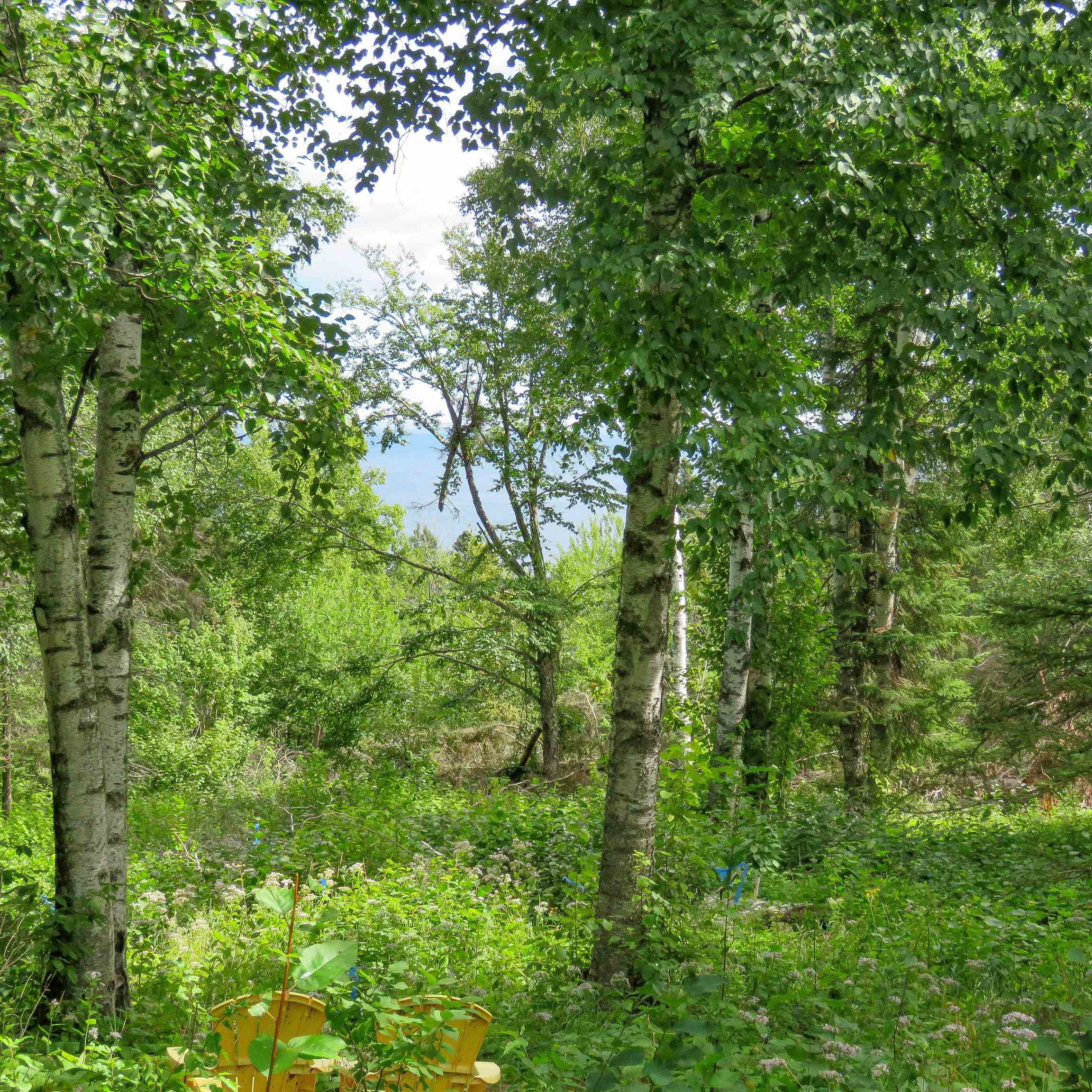 Xxx Hoaglund Drive Tofte, MN 55615 - Photo 20 of 58