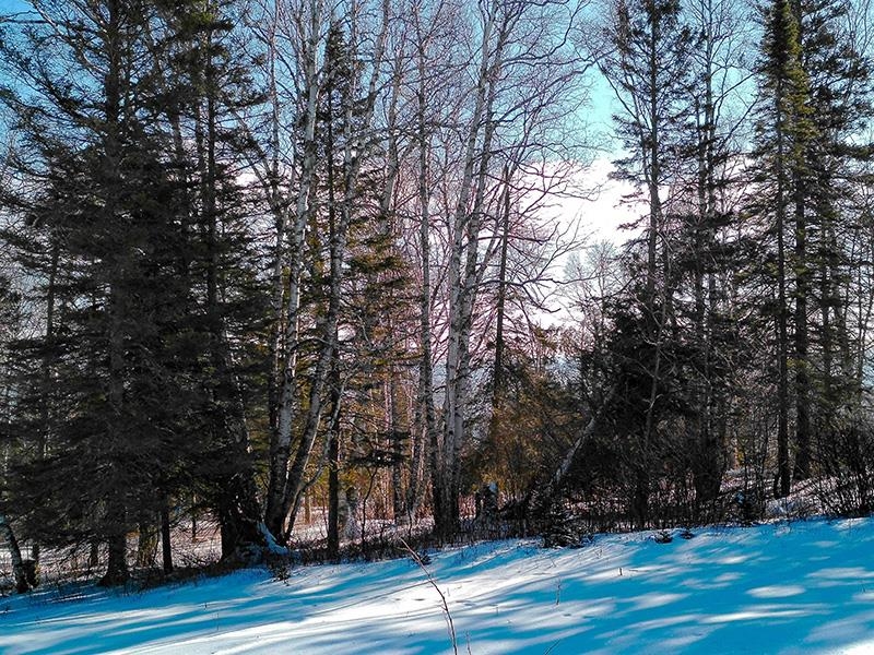 Xxx Hoaglund Drive Tofte, MN 55615 - Photo 2 of 58