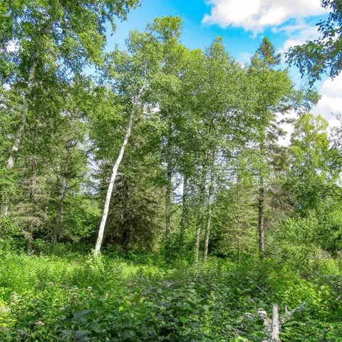 $129,000 | Xxx Hoaglund Drive, Tofte, MN 55615